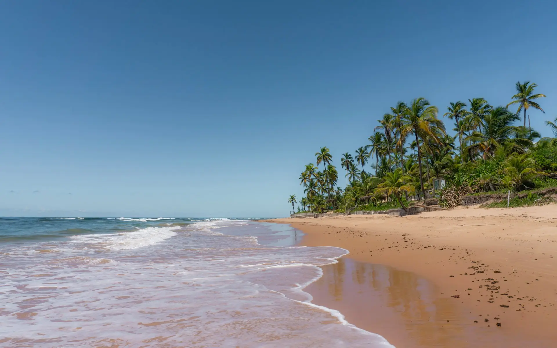 A sandy beach with palm trees in the background