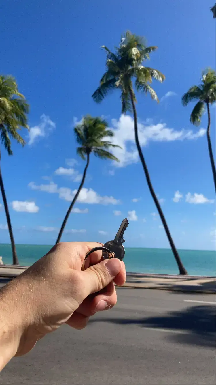 Key sunny beach palm tree