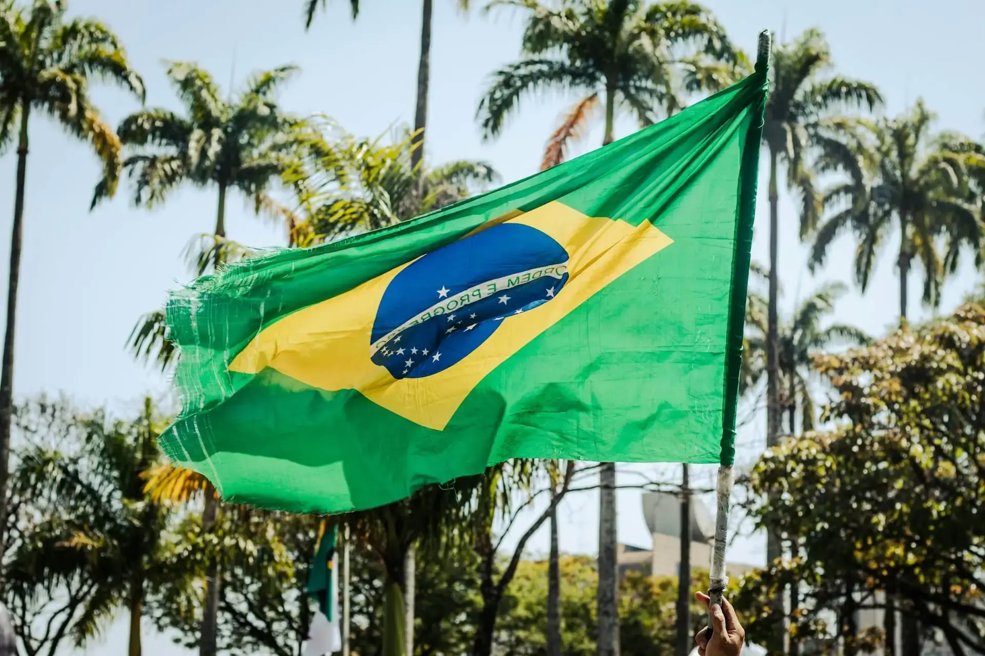 Brazil flag